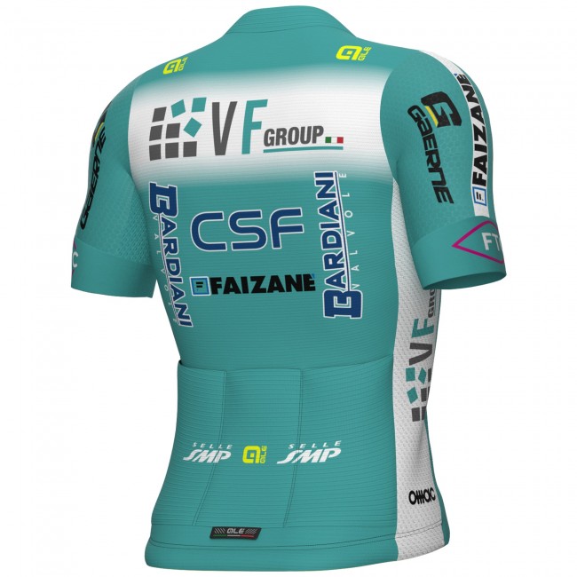 Herren Ale VF Group-Bardiani CSF-Faizane 2025 PRS 2.0 trikot Radtrikot Kaufen Herren Ale VF Group-Bardiani CSF-Faizane 2025 PRS 2.0 trikot Radtrikot Kaufen